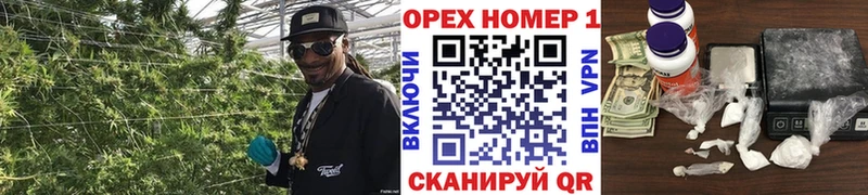 это официальный сайт  omg ссылка  Новомичуринск  Cocaine Fish Scale 