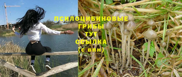 винт Абдулино
